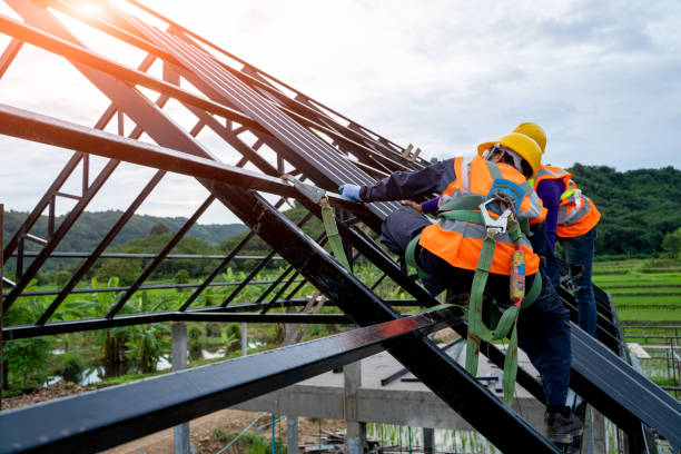 Best Roof Leak Repair  in Beulah, ND