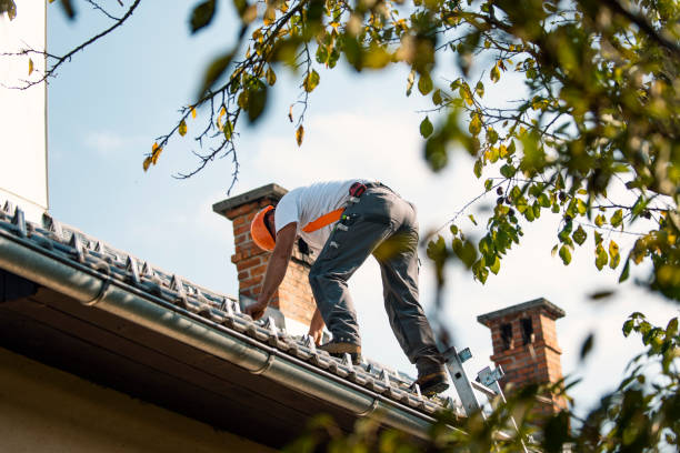 Best Roof Maintenance Services  in Beulah, ND
